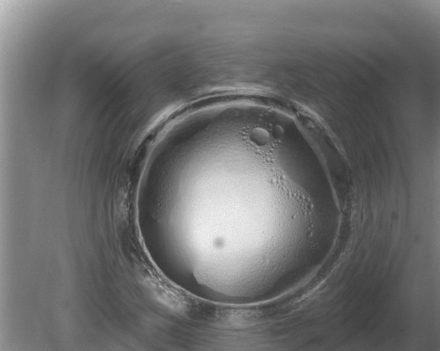 X0000080131163200612151731