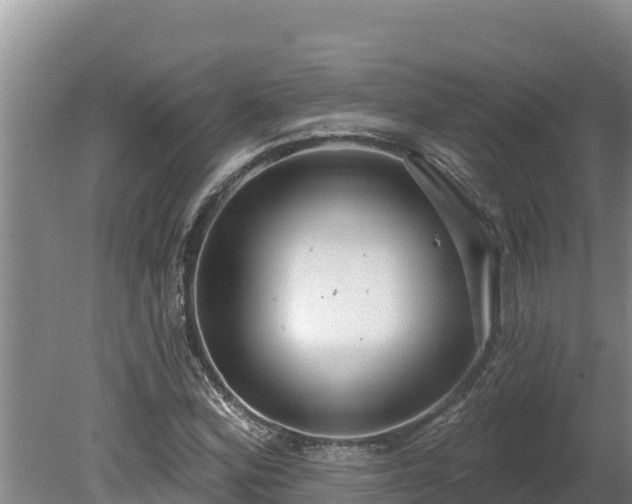 X0000080131164200612151731