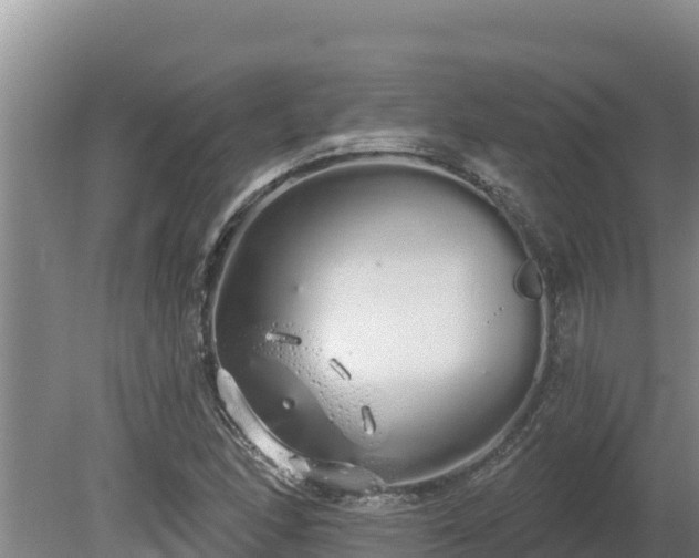 X0000080131166200612151731