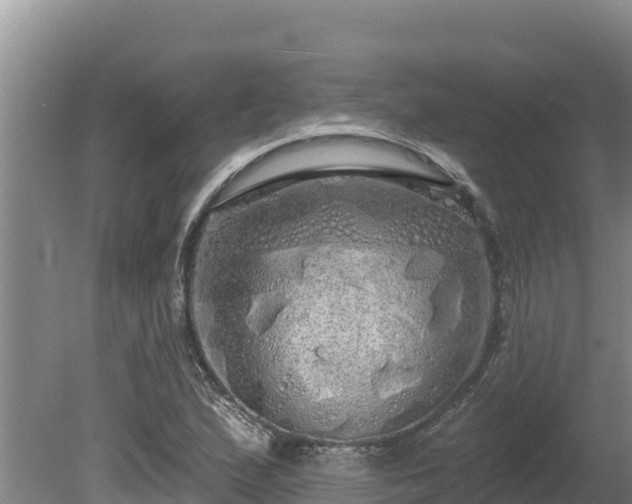 X0000080131167200612151731