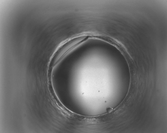 X0000080131168200612151731