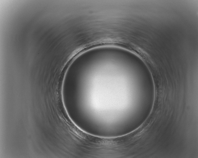 X0000080131170200612151731