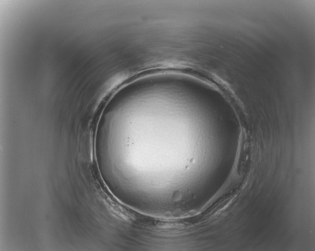 X0000080131171200612151731