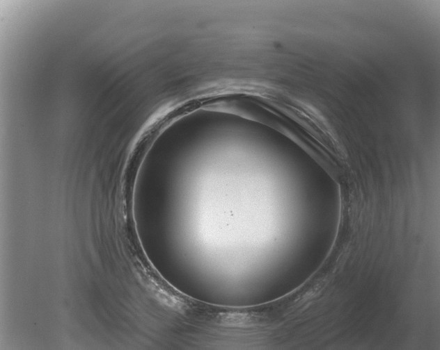 X0000080131172200612151731