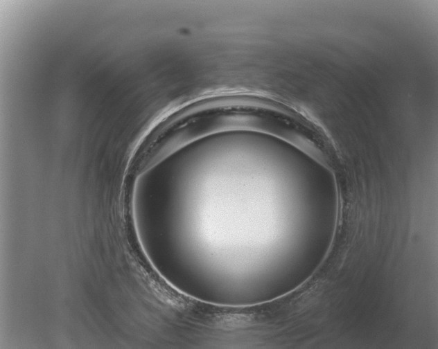 X0000080131173200612151731