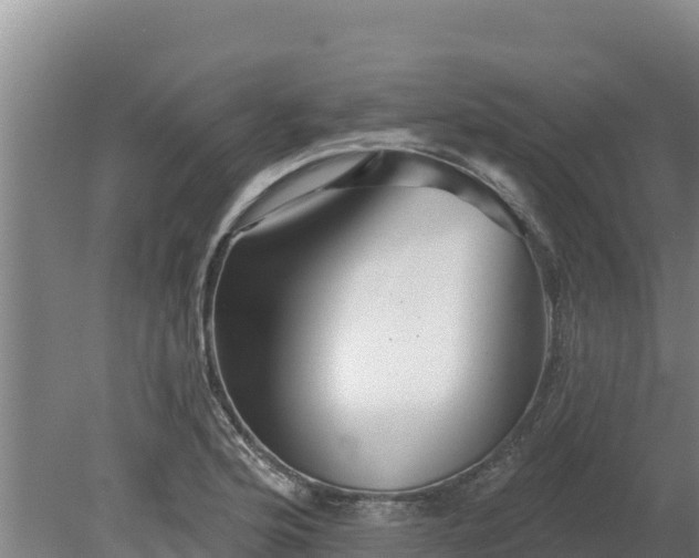 X0000080131176200612151731