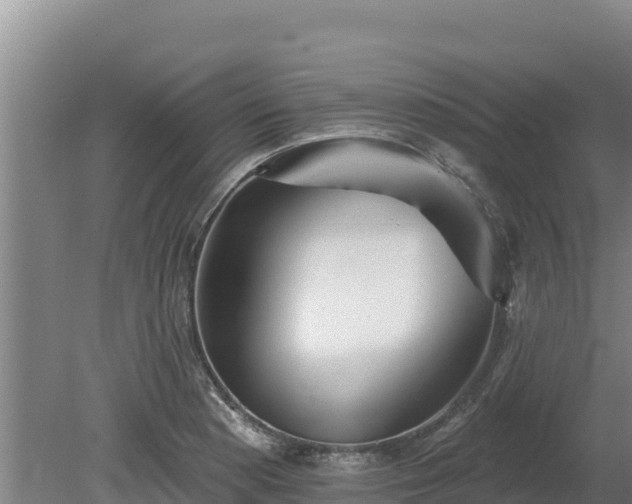 X0000080131177200612151731