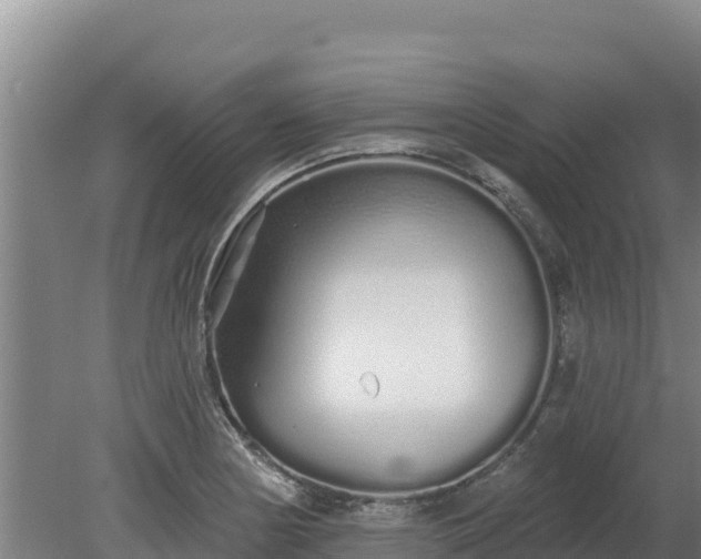 X0000080131178200612151731