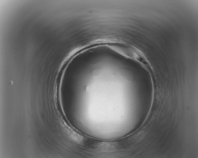 X0000080131179200612151731