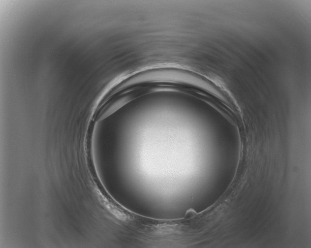 X0000080131181200612151731