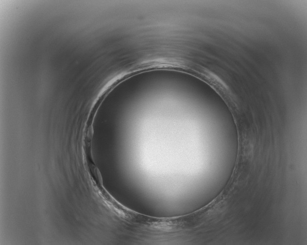 X0000080131182200612151731