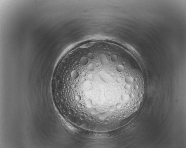 X0000080131183200612151730