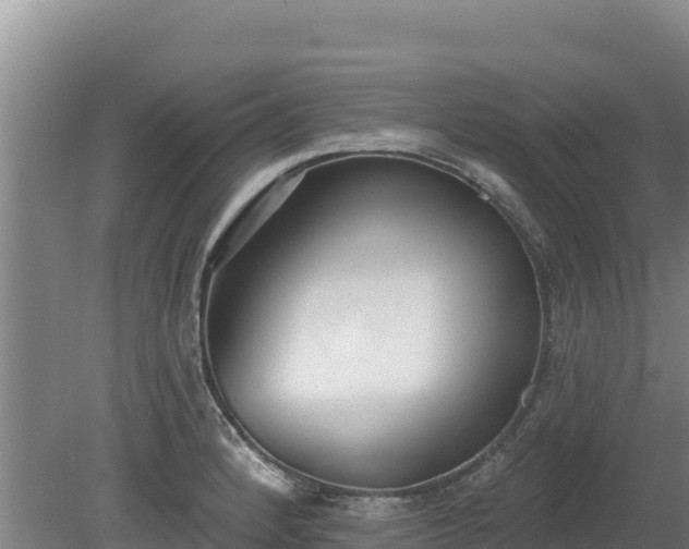 X0000080131184200612151730