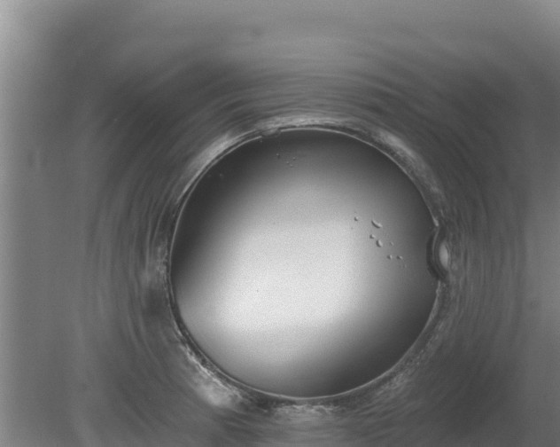 X0000080131185200612151730