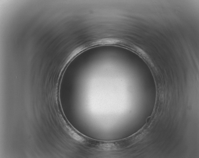 X0000080131186200612151730