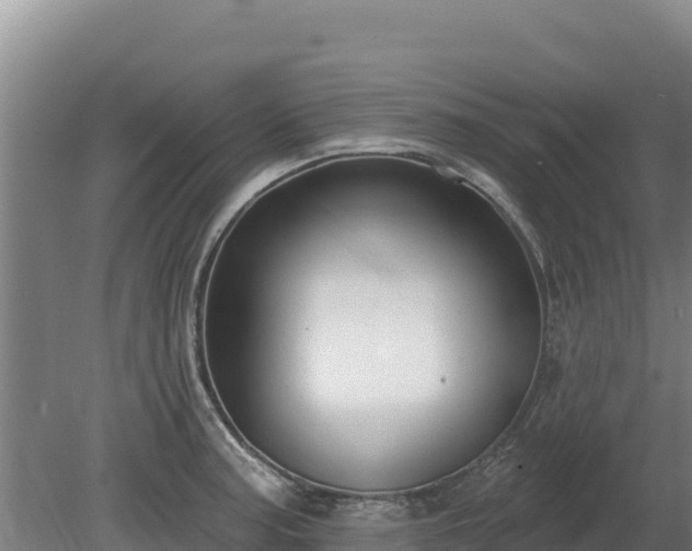 X0000080131187200612151730