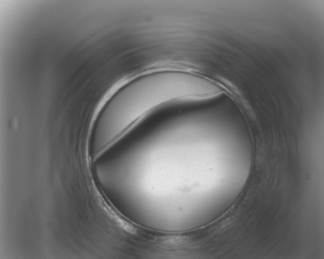 X0000080131188200612151730