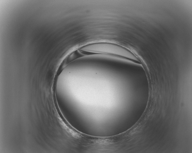 X0000080131189200612151730