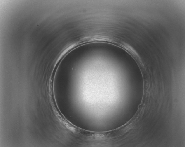 X0000080131190200612151730