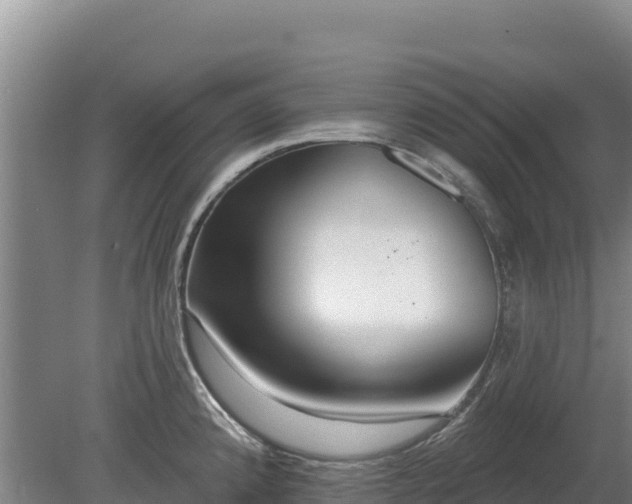 X0000080131192200612151730