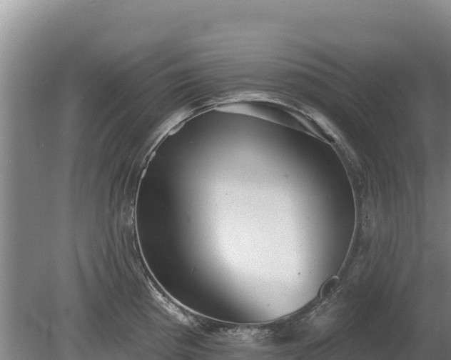 X0000080131193200612151730