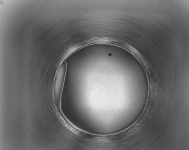 X0000080131194200612151730