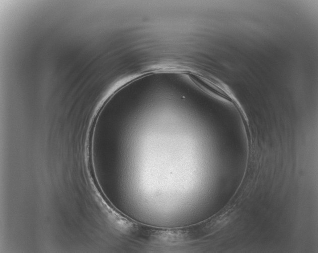 X0000080131195200612151730