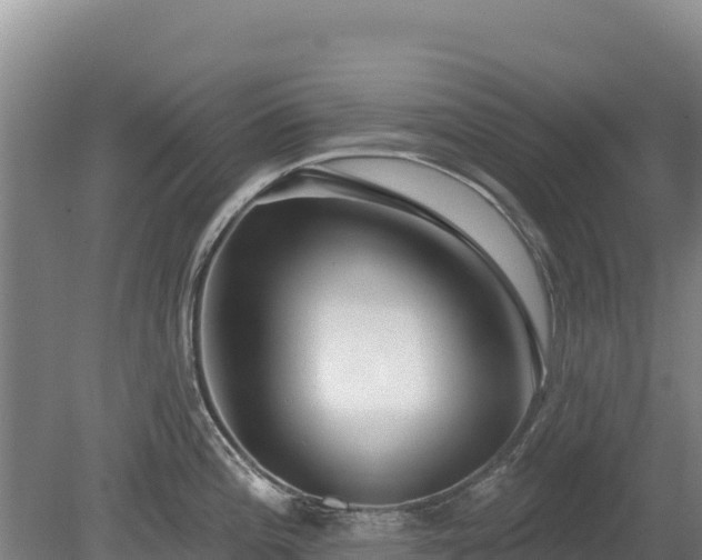 X0000080131196200612151730