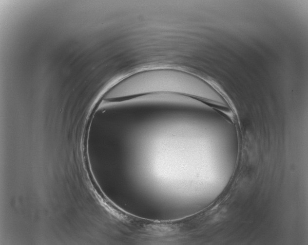 X0000080131197200612151730