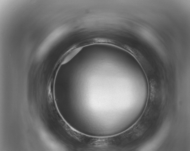 X0000080131198200612151730