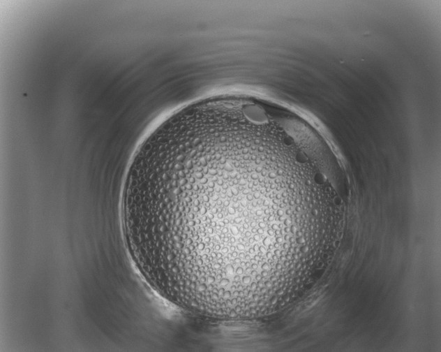 X0000080131199200612151730