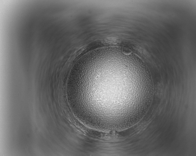 X0000080131201200612151729