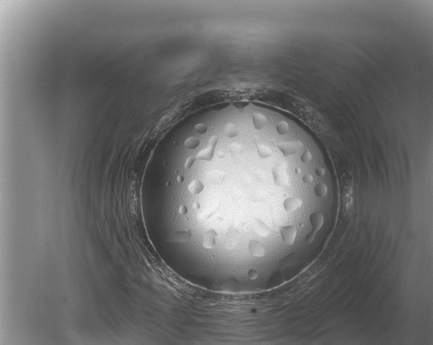 X0000080131204200612151729