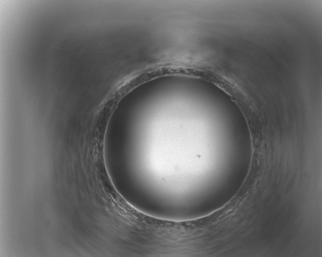 X0000080131207200612151730