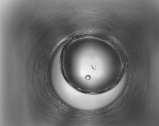 X0000080131210200612151730