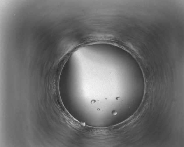 X0000080131211200612151730