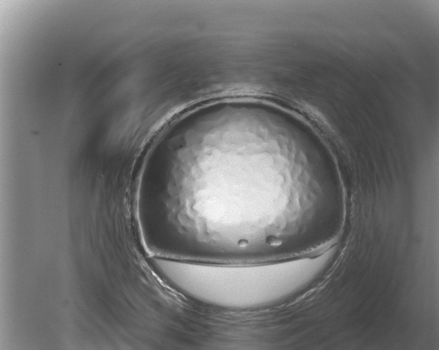 X0000080131212200612151730