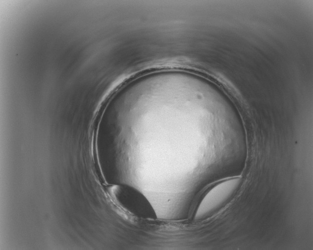 X0000080131224200612151730