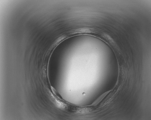 X0000080131225200612151730