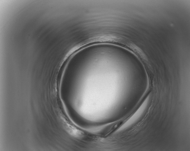 X0000080131226200612151730