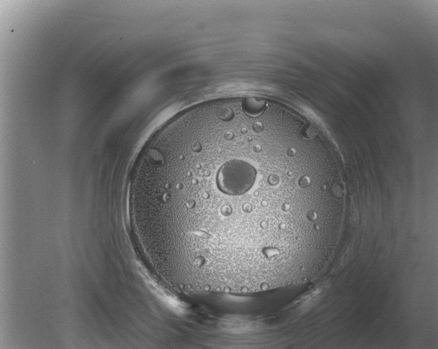 X0000080131227200612151730