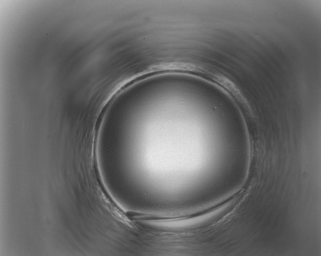 X0000080131228200612151730