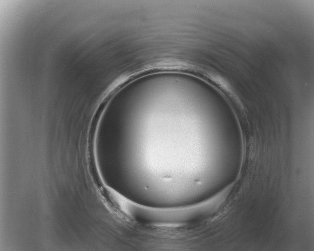 X0000080131229200612151730