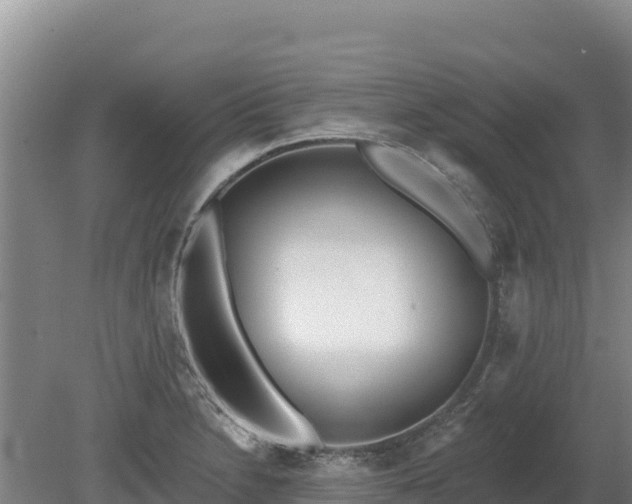 X0000080131230200612151730