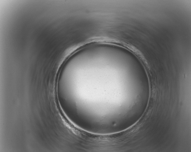 X0000080131231200612151730