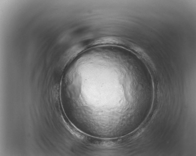 X0000080131233200612151730