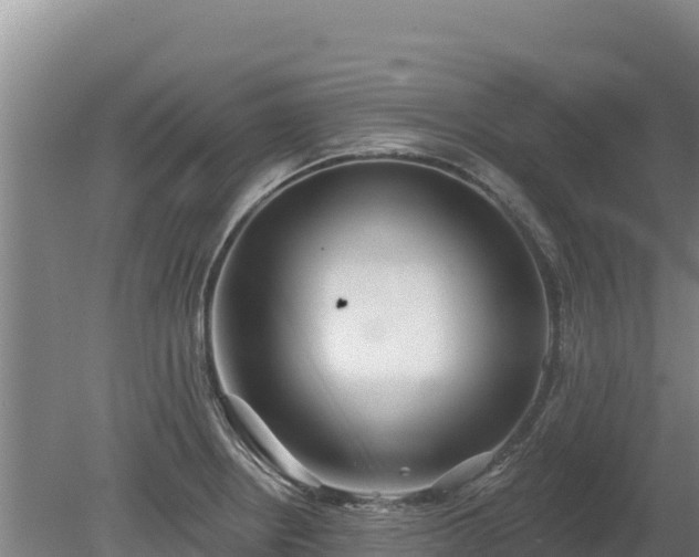 X0000080131234200612151730