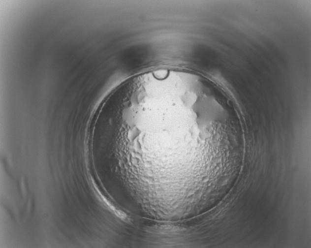 X0000080131235200612151730