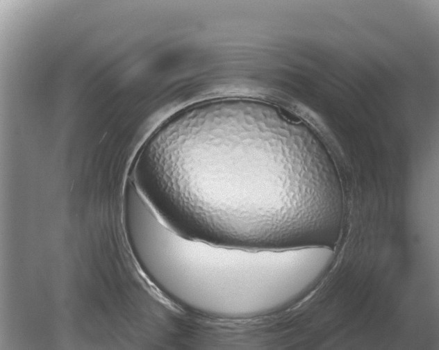 X0000080131236200612151730