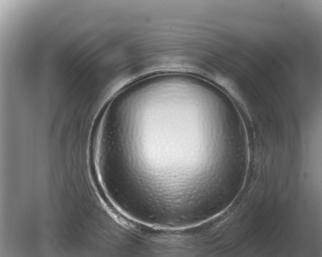 X0000080131237200612151730